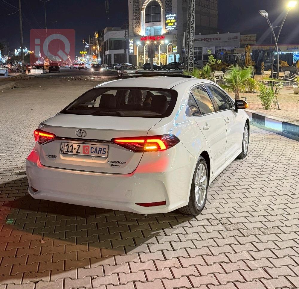 تويوتا كورولا